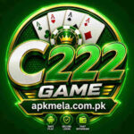 C222 game